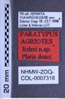 Etiketten zu Agriotes lizleri (NHMW-ZOO-COL-0007318)